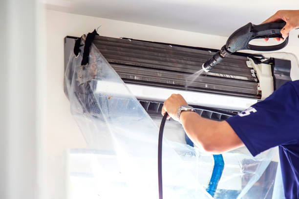Best Air Duct Mold Removal  in Somerset, KY