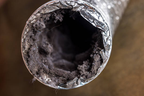 Best Ventilation Cleaning Services  in Somerset, KY